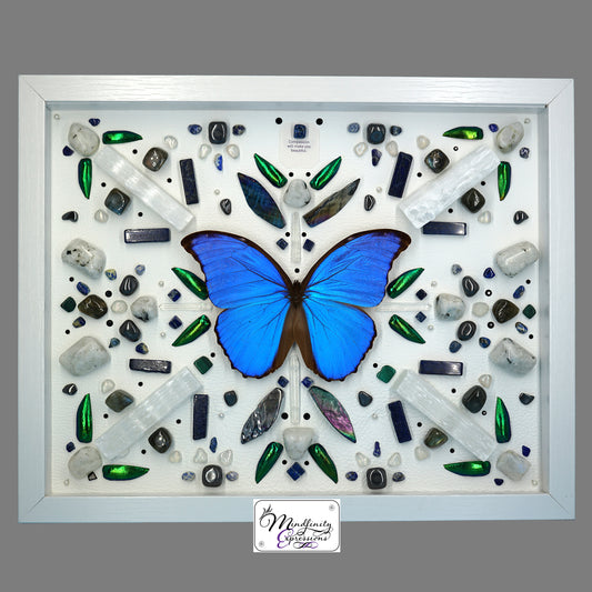 shadow box art, blue butterfly, crystals, leather, gemstones, gems, sacred geometry, healing art, crystal art, crystal grid, energy healing, Lapis Lazuli, Malachite, Clear Quartz, Selenite, Hematite, Rainbow Moonstone, Mother of Pearl & Labradorite, crystal art, crystal he