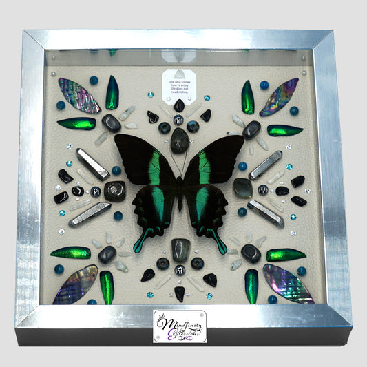 shadow box art, Peacock Swallowtail butterfly, Natuzzi Italia genuine leather, crystals, Swarovski crystals, gemstones, gems, sacred geometry, healing art, crystal art, crystal grid, energy healing, crystal healing, crystal energy, crystal grid, healing, healing energy, healing art, sacred geometry, handmade, luxury art, Amazonite, Rainbow Moonstone, Labradorite, Hematite, Impression Jasper, Clear Quartz, Silver Plated Quartz, Black Tourmaline